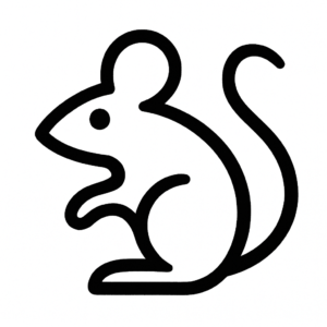 Illustration de : souris dans un rêve, dessin au style minimaliste et symbolique.